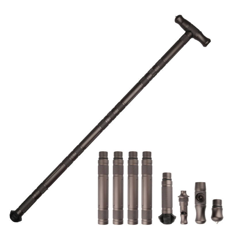 Bastón de senderismo plegable  - Trekking Pole Carbon reseña y precio