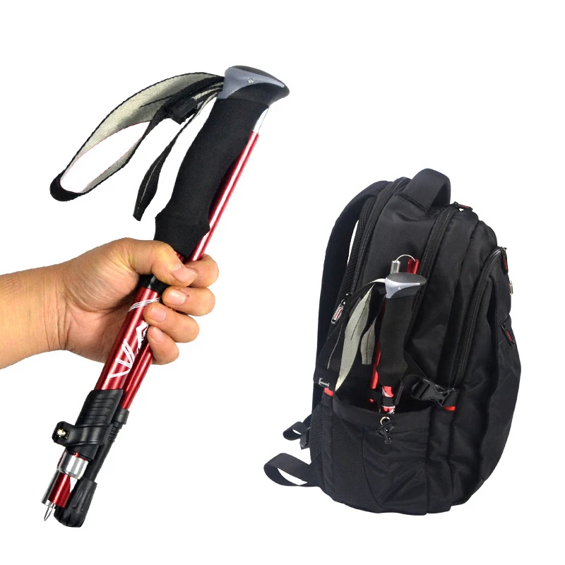 Palo de Trekking plegable para - Trekking Pole Carbon reseña y precio